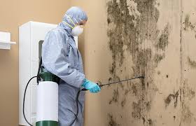 Best Residential Mold Inspection & Testing  in Lakeside, MT